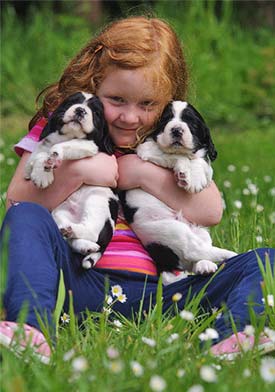 Girl with Spaniel Puppies