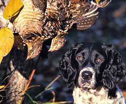 north dakota hunting guide