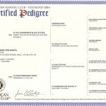 Khaya pedigree