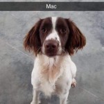 Mac