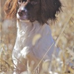 absolute photo millie 7