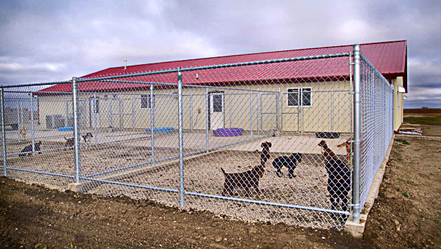 Bismarck Boarding Kennel \u0026 Doggie 