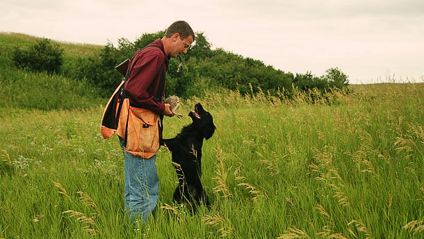 Dan training hunting dog