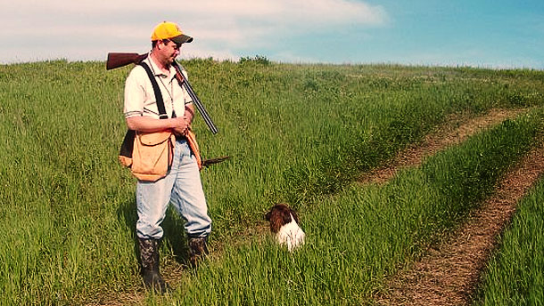 Gun Dog Trainer Dan Murray