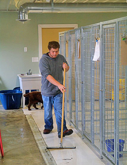 dog kennel cleaner