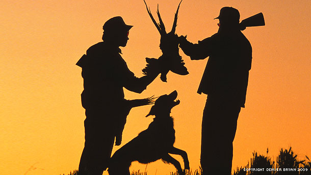 Pheasant Hunting in North Dakota